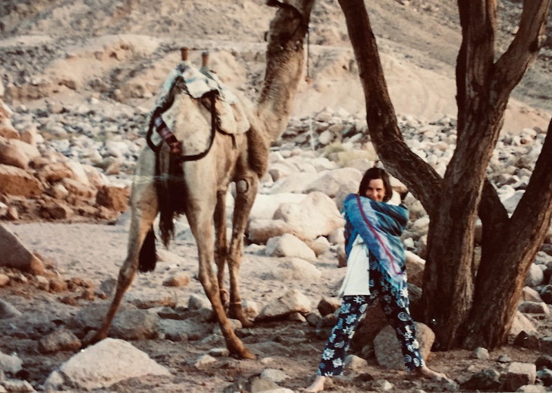 Kamel und schwangere Frau im Sinai